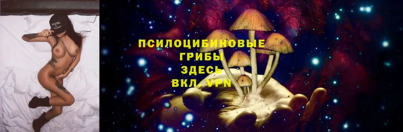 Псилоцибиновые грибы Magic Shrooms  OMG маркетплейс  Кимры  цены наркотик 