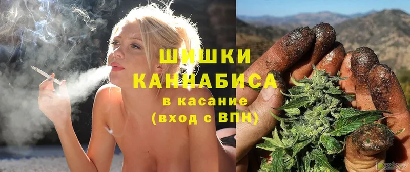 как найти   Кимры  Марихуана White Widow 